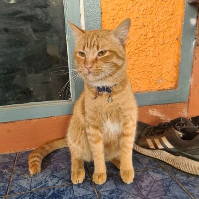 NJpatong's profile picture. 안녕🙏
โลกส่วนตัว