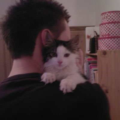 robdlubak's profile picture. #LUFC STH ⚽️🥊🥋 🏉 🏈 🎾 🏎 | Floating gracefully on the line between sarcasm and sincerity | Comedy is King