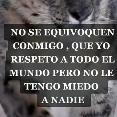 LaurentisC's profile picture. Ser feliz