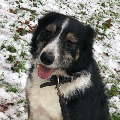 Enthrail's profile picture. 