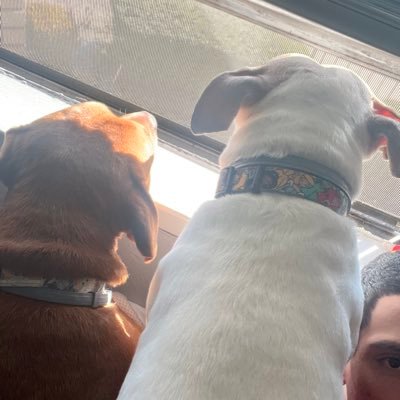 Djae57's profile picture. 