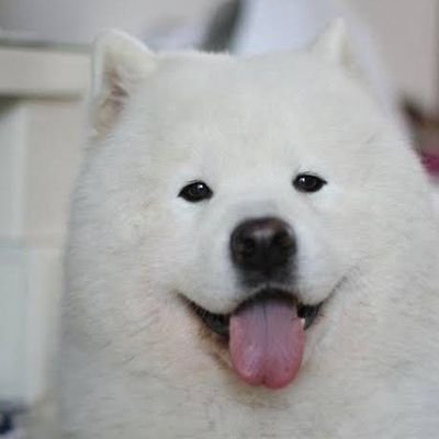 กุมยังตัวเท่าเดิมさんのプロフィール画像