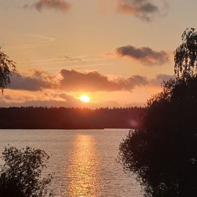 MehmetMehmetc66's profile picture. Direniş zafere, 
Teslimiyet ve seszizlik  Ihanete götürür.