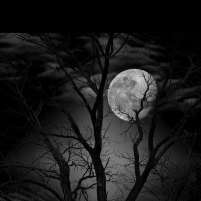 rulis6969's profile picture. Me encantaria estar vergon pero la tengo normal promedio