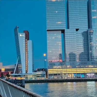 JolandaRaats's profile picture. 