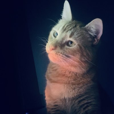 Coco Profile