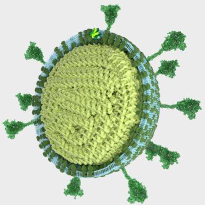 Computational virology research group exploring virus evolution, virus-host interactions & disease, in @CVRbioinfo, part of @CVRinfo. Tweets by @DavidLRobrtson.