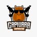 Capivara Corporation (@CapivaraCorp77) Twitter profile photo