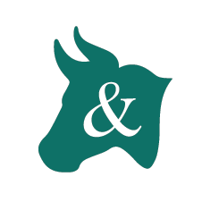 oxandpine's profile picture. Personalized, handcrafted leather goods that make you unforgettable!