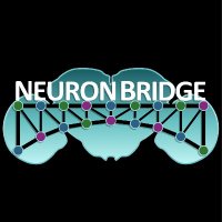 NeuronBridge (@neuronbridge) 's Twitter Profile Photo NeuronBridge (@neuronbridge) 's Twitter Profile Photo