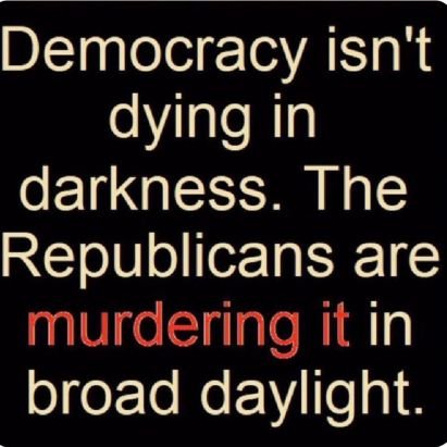 Retired and loving it. #Resist #nevertrumper, Black Lives Matter.
VOTE BLUE! 
NO DMS!