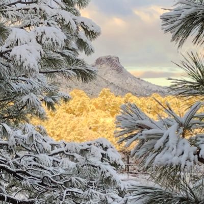 Raised in Hawaii, just escaped California 🤗 now in beautiful Arizona. Please keep President Trump and family safe.🙏 🇺🇸MAGA