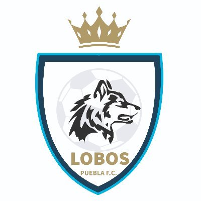 Lobos Puebla F.C.