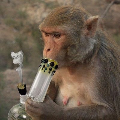 @budandguitars