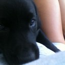 Ashley LeTourneau ❤️ Memecoin - @AshleyLetoure - Twitter