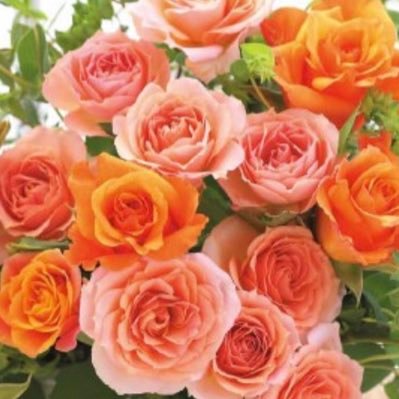 JPbp0bEuGrVlin3's profile picture. 