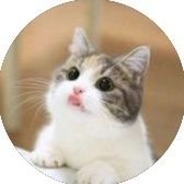 jasmine (@cu_xxt) 's Twitter Profile