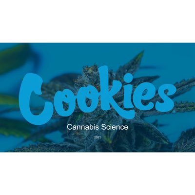 N. Lake Tahoe, CA | Cookies University 🍪