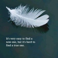 Fox Brave (@brave2_fox) Twitter profile photo