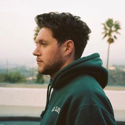 ⭑ niall horan content !