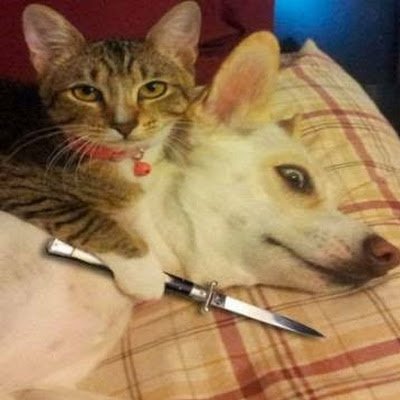 Unkown_Azumi's profile picture. Eh idk