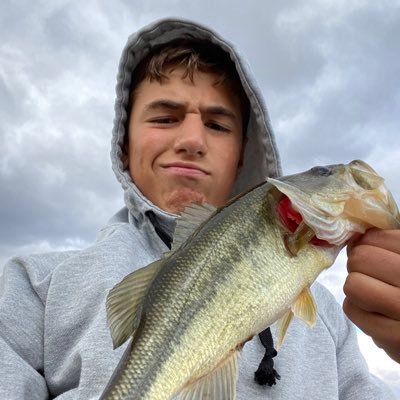 Drew Schemenaur Profile