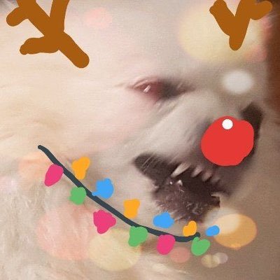 tteogppokki486's profile picture. 투디(40%)와 쓰리디(5%)와 정신병을 다루는 gaygaygaygay(55%) 취향조잡함