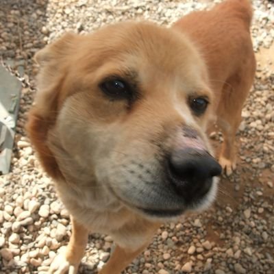Kenta Studio ケンタスタジオというYouTuber。現在のメイン活動はTikTokで、インスタではケンタスタジオのプチ情報というアカウントを運営中。動画作成依頼はインスタのプロフリンクへ。