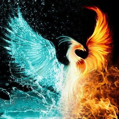 AchyuthGururaj1's profile picture. 