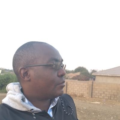 dzimbapw's profile picture. Logistician