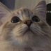 Hq (@hqnnahig) Twitter profile photo Hq (@hqnnahig) Twitter profile photo