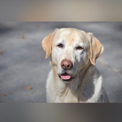 AUfamily5's profile picture. 
