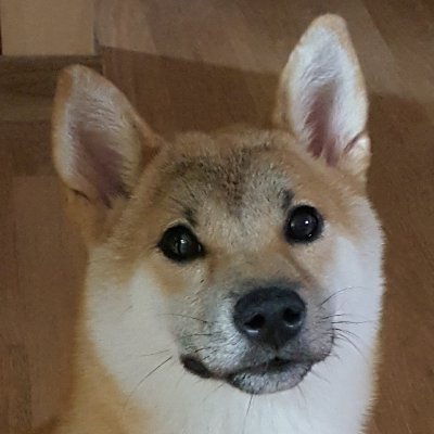 luckykkc1902's profile picture. 