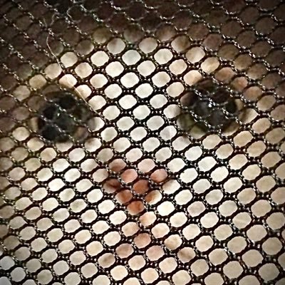 BDEHWohc4x2b7eb's profile picture. 