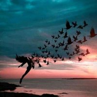 Matahi (@matea72752922) 's Twitter Profile