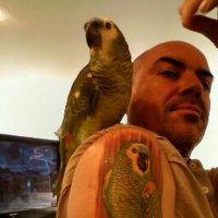 CGonzgo (@cgonzgo) 's Twitter Profile