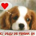 Ana Bárbara Roman - @04barbi - Twitter