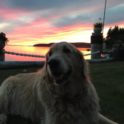 yubboman's profile picture. I am retired. I enjoy golf, walking my dog and managing my portfolio.