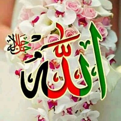 AlhajSmt313's profile picture. طبيب ، politician