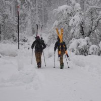 Padraig Fitzgerald (@padraigfitzger2) 's Twitter Profile Photo