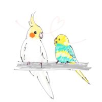 kuuu— (@coco_bibi_kuu) 's Twitter Profile Photo kuuu— (@coco_bibi_kuu) 's Twitter Profile Photo
