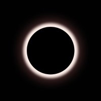 BlackHole DAO (@blackholedao_) 's Twitter Profile Photo BlackHole DAO (@blackholedao_) 's Twitter Profile Photo