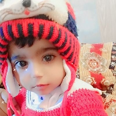 ShaanAl64347542's profile picture. 