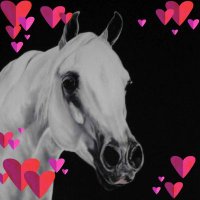 🌹Final Destination (@kidmaryann1) 's Twitter Profile
