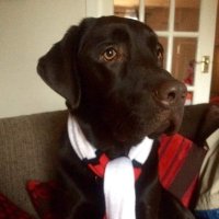JonnyWharton (@jonnywharton) 's Twitter Profile Photo JonnyWharton (@jonnywharton) 's Twitter Profile Photo