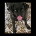 randy potts - @lanerstud - Twitter