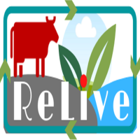 relive_eranet's profile picture. 