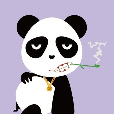 pandawa11579142's profile picture. Nothing