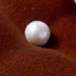 ずぃるぅたさんのプロフィール画像