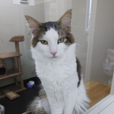 peD9Eqk0G3wBKYK's profile picture. 愛知 三河 ♂ 40代 細身  大人で会える子募集中